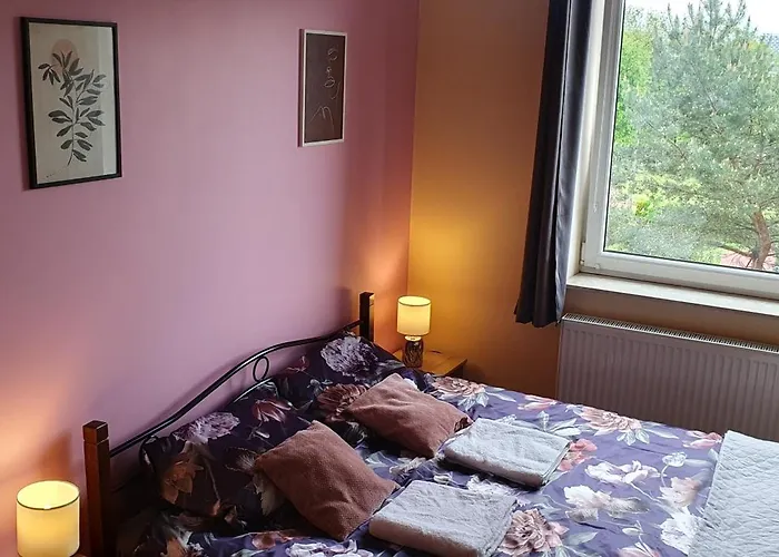 Apartament Sylvia Self Check-In Netflix